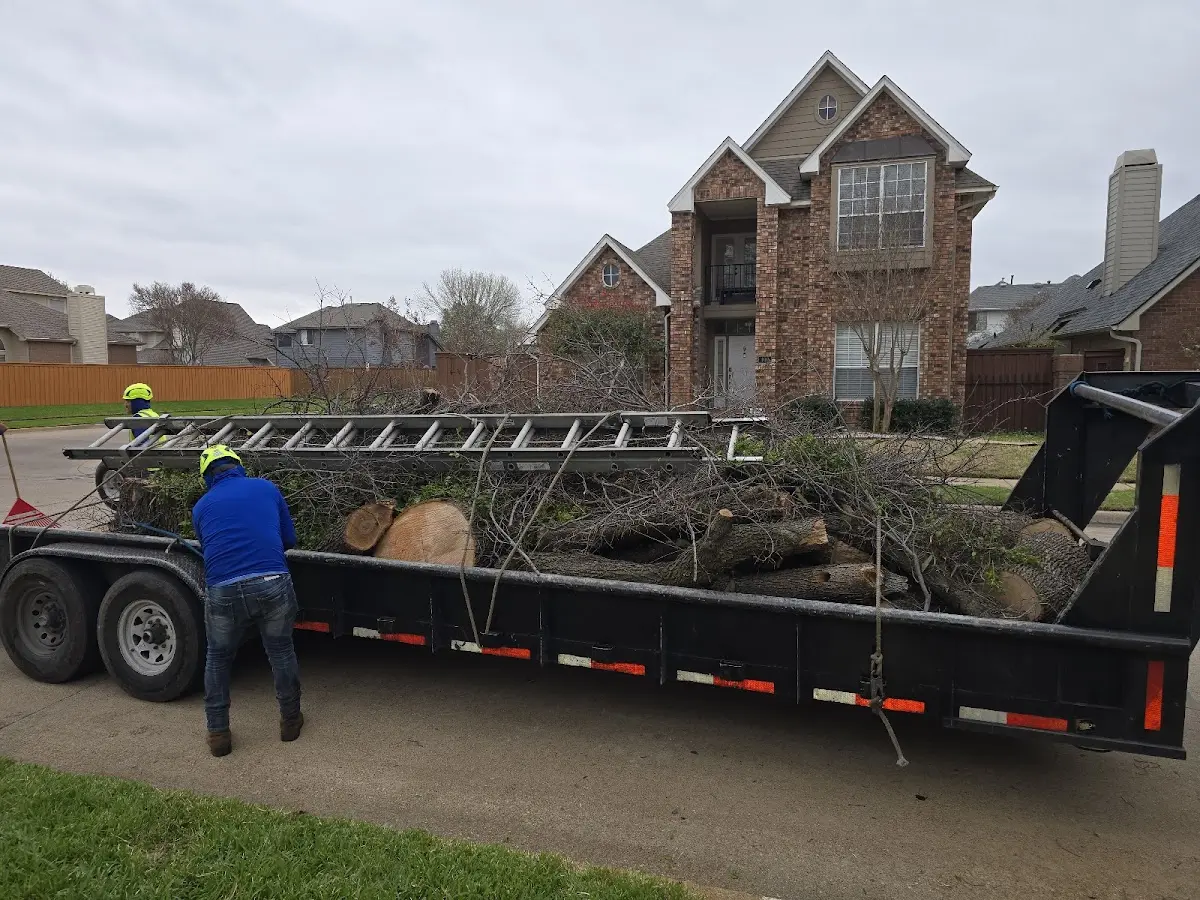 Expert Lot Clearing with proper safety equipment in Mildred